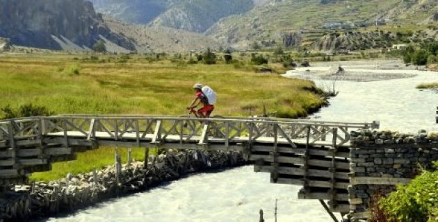 DSC8714-480x251-1-pfd3rsv5pu3wi2s6jcf9si6od4yzz2lpcf07ktc2rk