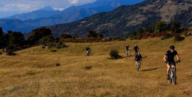 MG_2418-480x320-1-pfd4j9pdfjpjruvu57usnknlahl4wnnbsdb0fwlwxs